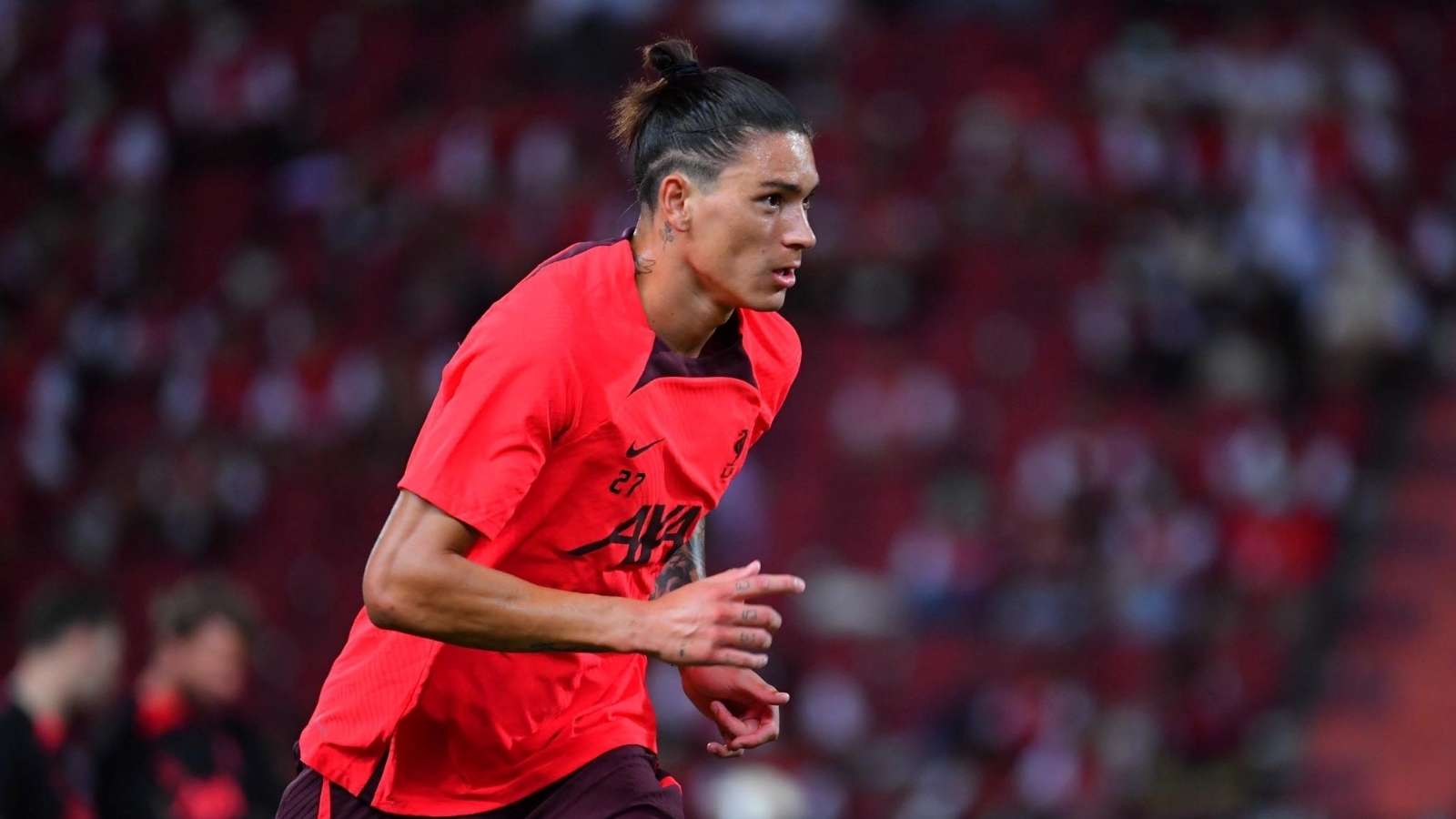 领域的启示 领域的启示