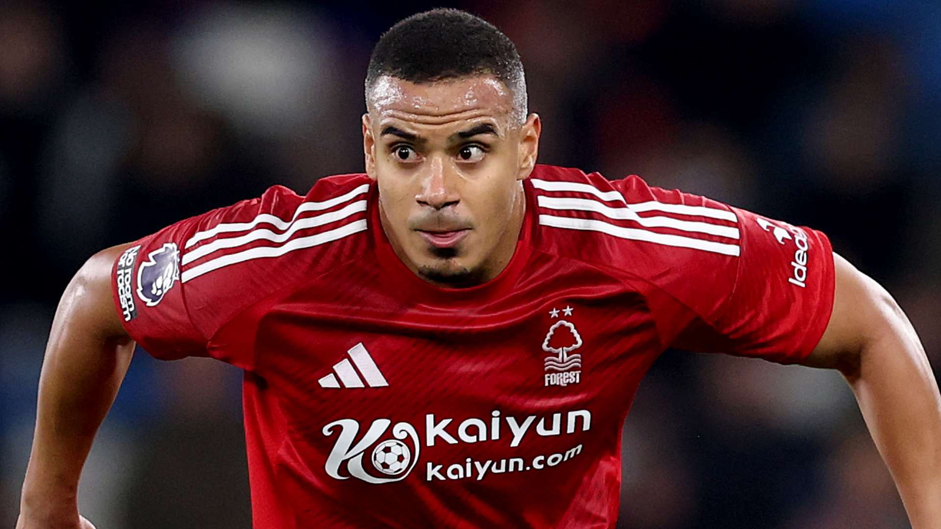 都有機會參 都有機會參